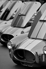 The Cobra Automobile Sports Car Great Photographers