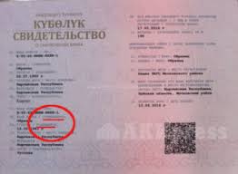 Nomer Zapisi Akta O Zaklyuchenii Braka Dlya Chego Mozhet Ponadobitsya Svidetelstvo O Brake Kem Vydano Gde Smotret