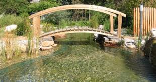 Pin By Arleen Canales On Future Home Ideas Swimming Pond Natural Swimming Pools Natural Swimming Ponds