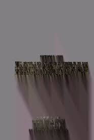 Image result for Anthospermum whyteanum