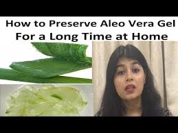 Aloe vera for hair growth. How To Store Aloe Vera Gel For Long Time Hindi How To Preserve Aloe Vera Gel At Home Youtube Fresh Aloe Vera Gel Aloe Vera Liquid Aloe Vera Gel