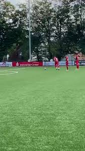 Personality profile of turkey | aytac kara mbtilounge.com. Tus Graf Kobbo Tecklenburg Von 1902 E V Tecklenburg Germany Sports Club Amateur Sports Team Facebook