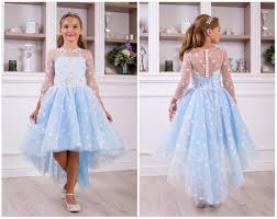 Light Blue And White Dress Toddler Dress Flower Applique Light Blue Gown Light Flower Birthday Flower Girl Dresses Blue Girls Dresses Flower Girl Dresses Tulle