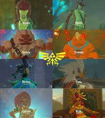 This Is Cool Champions And Heirs Legend Of Zelda Breath Of The Wild Legend Of Zelda Legend Of Zelda Breath Legend Of Zelda Memes