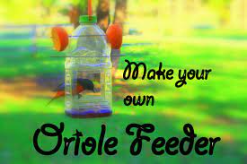 If you want to attract orioles to your yard but aren't sure how, this easy diy oriole feeder will work. Pin On Neat Idea