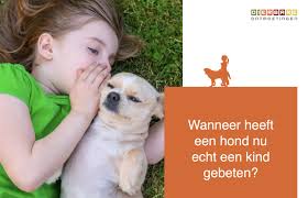 kind-hond manifestatie