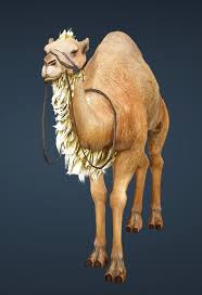 To get free camel on bdo, we have to open the bdo ques camel. Bdo Fashion Brown Camel Black Desert Online
