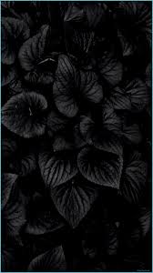 Maybe you would like to learn more about one of these? Amoled Hd 4k Mobile Wallpapers Wallpaper Cave