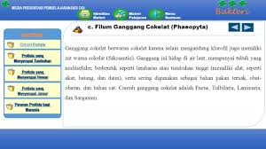 Focus serratus, makro cystis pyrefera, sargassum vulgare turbinsaris decurrens. Zat Warna Cokelat Pada Ganggang Disebut Coba Sebutkan