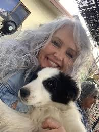 Dawn Dvorak's Instagram, Twitter & Facebook