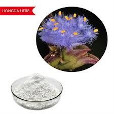 Image result for Cyanotis vaga