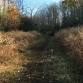 Plainsboro Preserve Hike, 5-6 Miles event image