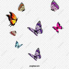 Purplish Red Colored Butterflies Swarm Butterfly Red Butterfly Purple Butterfly Png Transparent Image And Clipart For Free Download Purple Butterfly Red Butterfly Purplish Red