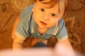 Denise Armbruster's Instagram, Twitter & Facebook