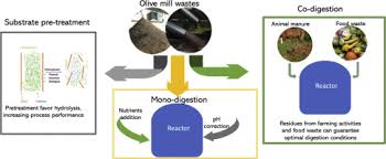 Biomethane Recovery From Olive Mill Residues Through Anaerobic Digestion A Review Of The State Of The Art Technology Sciencedirect