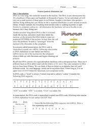 Click the why rna is just as cool as dna video by the amoeba sisters as you watch the video, answer the questions below. 34 Protein Synthesis Simulation Worksheet Answers Free Worksheet Spreadsheet