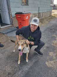 Looking to rehome a 9month old pit/Rottweiler mix. His name is Bruno. He is  super energetic and full of love. He will be a great pup with some training  that is needed.