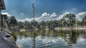 Kolam Pancing Udang Galah Mileseven Ijok Home Facebook