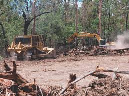 Free clearing woodland icons in wide variety of styles like line, solid, flat, colored outline, hand drawn and. Stopping Land Clearing And Replanting Trees Could Help Keep Australia Cool In A Warmer Future