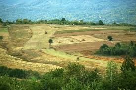 Publicat pe 6 ianuarie 2020. Apia Incepe Campania De Primire A Cererilor Unice De PlatÄ Pentru Anul 2021