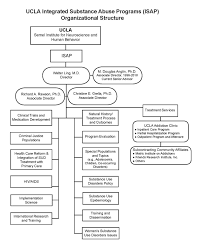 2012 Biennial Report Isap Organizational Structure