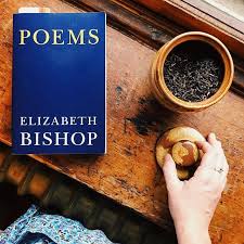 Working Through These Elizabeth Bishop Poems Slowly One Or Two At A Time I Hadnt Ever Picked Her Up Before Elizabeth Bishop Books To Read Before You Die Poems