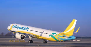 The philippines' largest airline with the lowest fares to over 60 destinations in. Cebu Pacific To Raise 500 Million In Fresh Capital News Flight Global