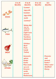 Introducing solids a month by month schedule free printable baby solid food baby food recipes baby first foods. Baby Food Chart Plan Baby S Menu At A Glance