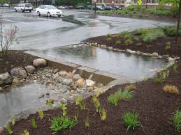 Umass Rain Garden Landskapsarkitektur