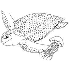 If the 'download' 'print' buttons don't work, reload this page by f5 or command+r. Top 10 Free Printable Cute Sea Turtle Coloring Pages Online