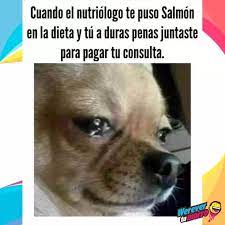 Pin De Johana Romano En Memes Mejores Memes Memes Humor