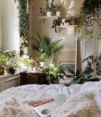 Plant Bedroom Inspo Redecorate Bedroom Room Inspiration Bedroom Aesthetic Room Decor