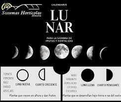 Sin embargo, entre estas cuatro fases existen otras muchas que no tienen un nombre concreto, por lo que para hablar de todas estas fases intermedias se utiliza el porcentaje. Calendario Lunar Para La Siembra De Frutas Y Hortalizas Sistemas Horticolas Almeria