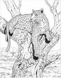 We did not find results for: Leopard Coloring Pages Animal Printable Sheets Snow Leopard Free 2021 3146 Coloring4free Coloring4free Com