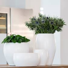 We've also designed large indoor planters. Large Indoor Plant Pots Quality Indoor Plant Pots Hortology