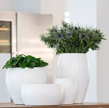 Check out our indoor pots for plants selection for the very best in unique or custom, handmade pieces from our planters & pots shops. Large Indoor Plant Pots Quality Indoor Plant Pots Hortology