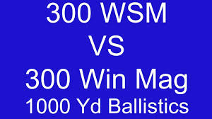 300 Wsm Vs 300 Win Mag 1000 Yard Ballistic Comparison Part 1