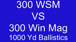 300 wsm vs 300 win mag 1000 yard ballistic comparison part 1