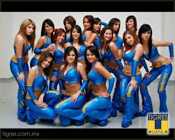 Resultado de imagem para porristas tigres