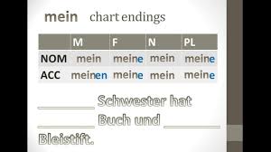 german grammar possessive adjectives nom and acc case