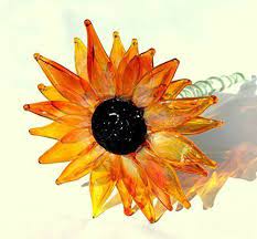 Maybe you would like to learn more about one of these? Amazon Com Black Eyed Susan Transparent Yellow Orange Lampwork Hand Blown Glass Flower Long Stemmed Handmade Products