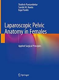 The fallopian tubes connect the ovaries to the uterus. Laparoscopic Pelvic Anatomy In Females Applied Surgical Principles By Puntambekar Shailesh Nanda Sambit M Parikh Kajal Amazon Ae