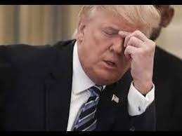 Angie Rak's Instagram, Twitter & Facebook