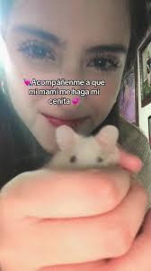 #hamsters galletita 🌸💝