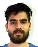 Critical oscillations lab