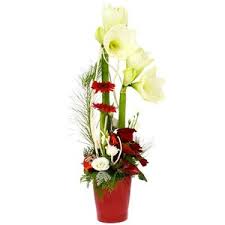 Bouquet De Fleurs De Noel Livraison En Express Florajet