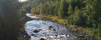 Report errors or wrong information. Best Camping In And Near Copper Falls State Park