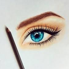 Love This Drawing So Cool Image 3451220 On Favim Com Colored pencil artwork color pencil art colored pencils amazing drawings cool drawings pencil beautiful animals masterfully drawn to capture their essence. love this drawing so cool image