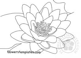 Enjoy printing and coloring online the best kizi free printable 2021 coloring pages for kids! Water Lily Coloring Page Flowers Templates