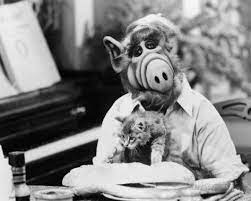 alf photo at allposters com alf kids tv shows childrens tv